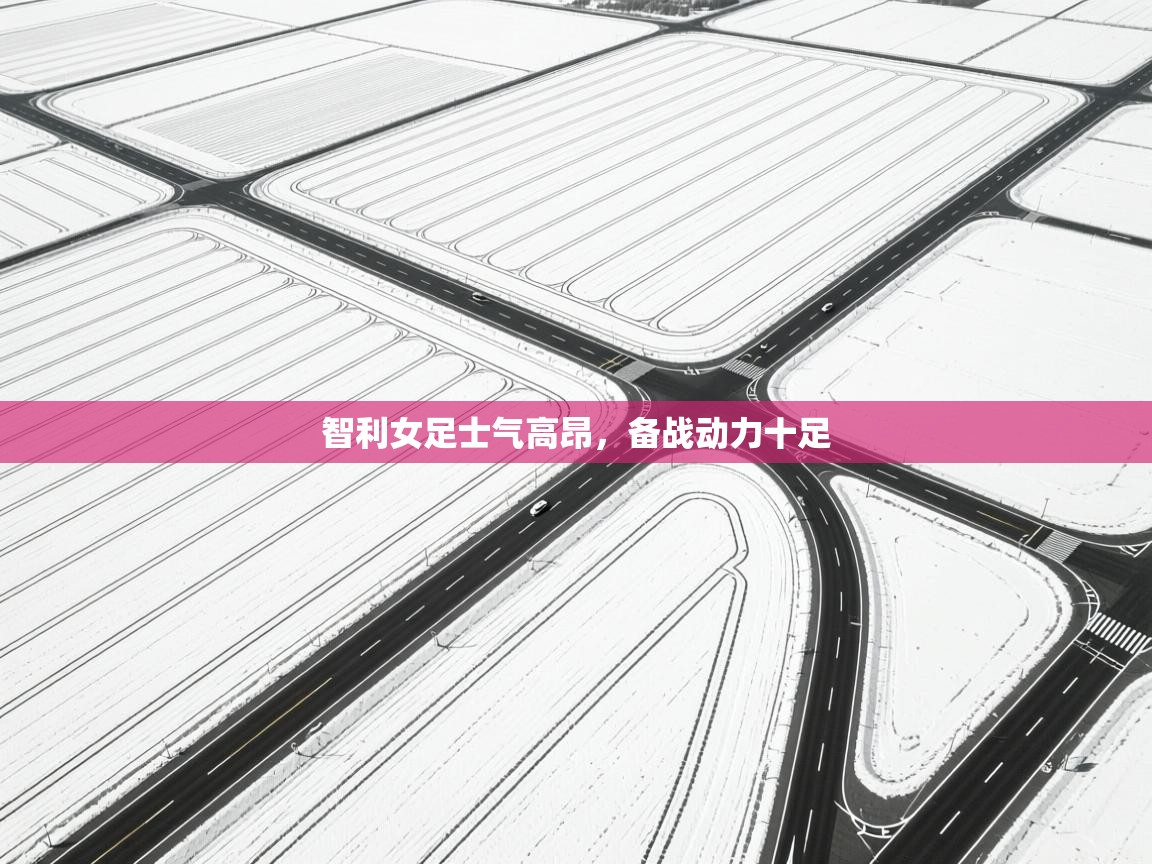 开云体育修改登录密码-智利女足士气高昂，备战动力十足