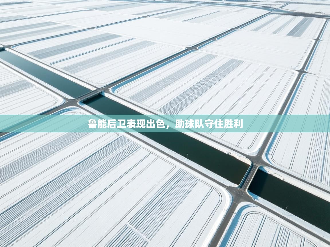 开云体育app评价-鲁能后卫表现出色，助球队守住胜利