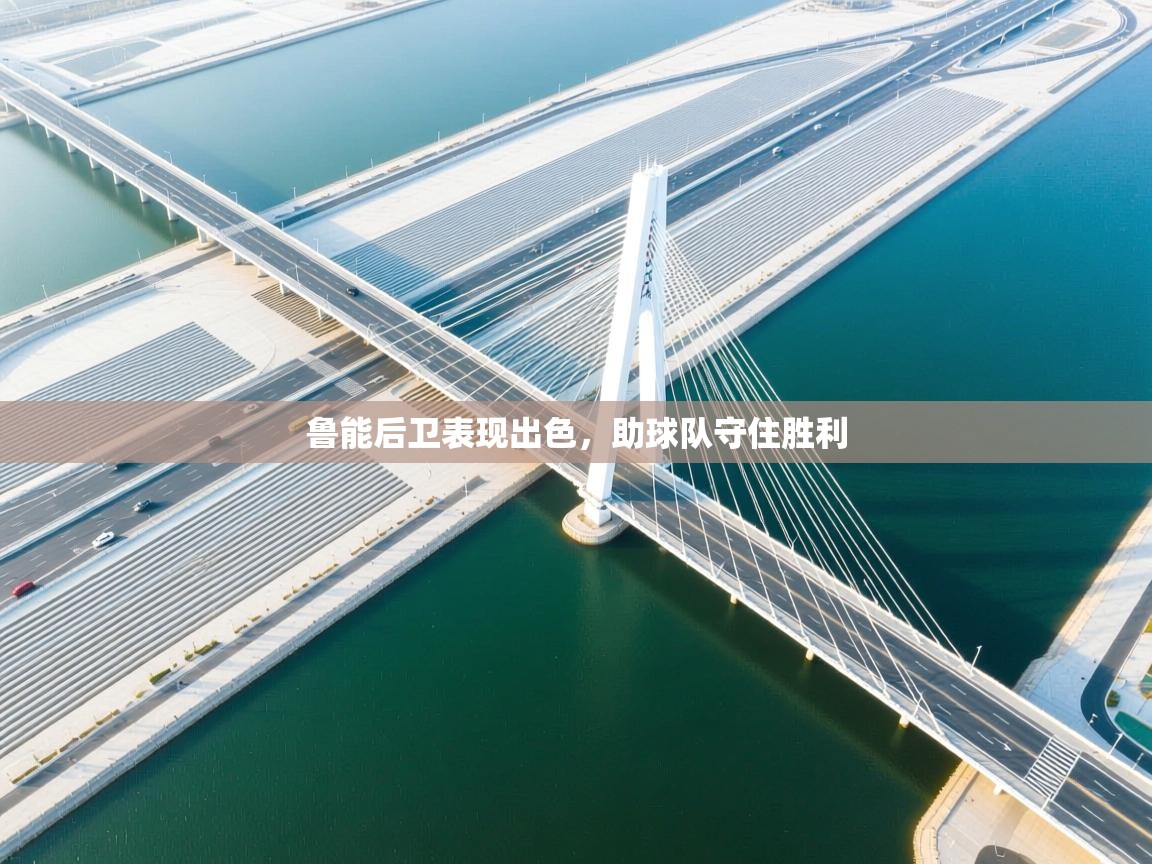 开云体育app评价-鲁能后卫表现出色，助球队守住胜利