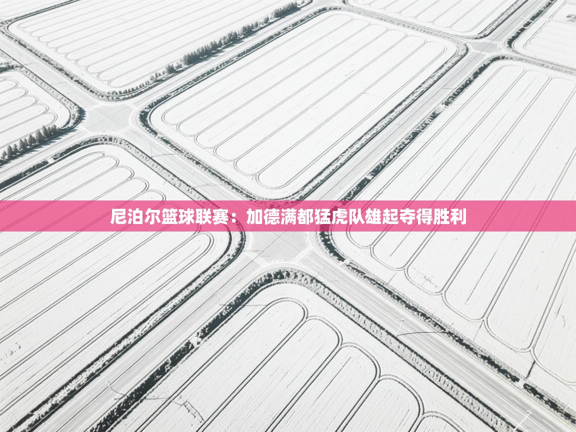 开云体育联赛专题页-尼泊尔篮球联赛:加德满都猛虎队雄起夺得胜利 第1张