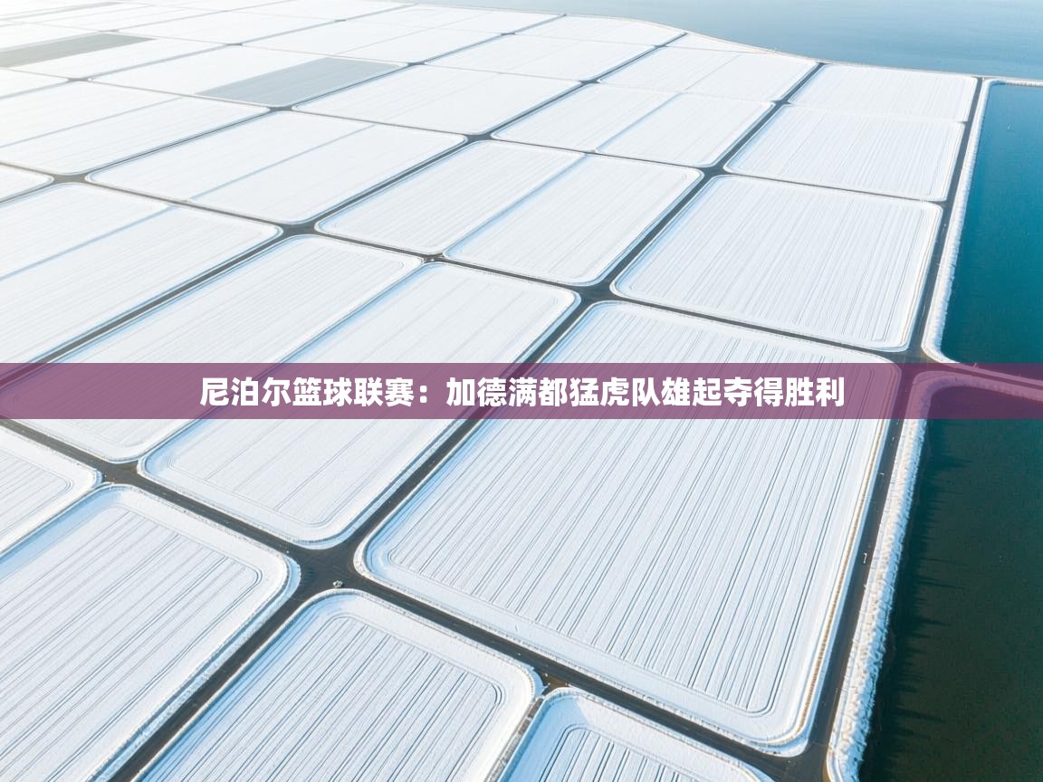 开云体育联赛专题页-尼泊尔篮球联赛:加德满都猛虎队雄起夺得胜利 第4张