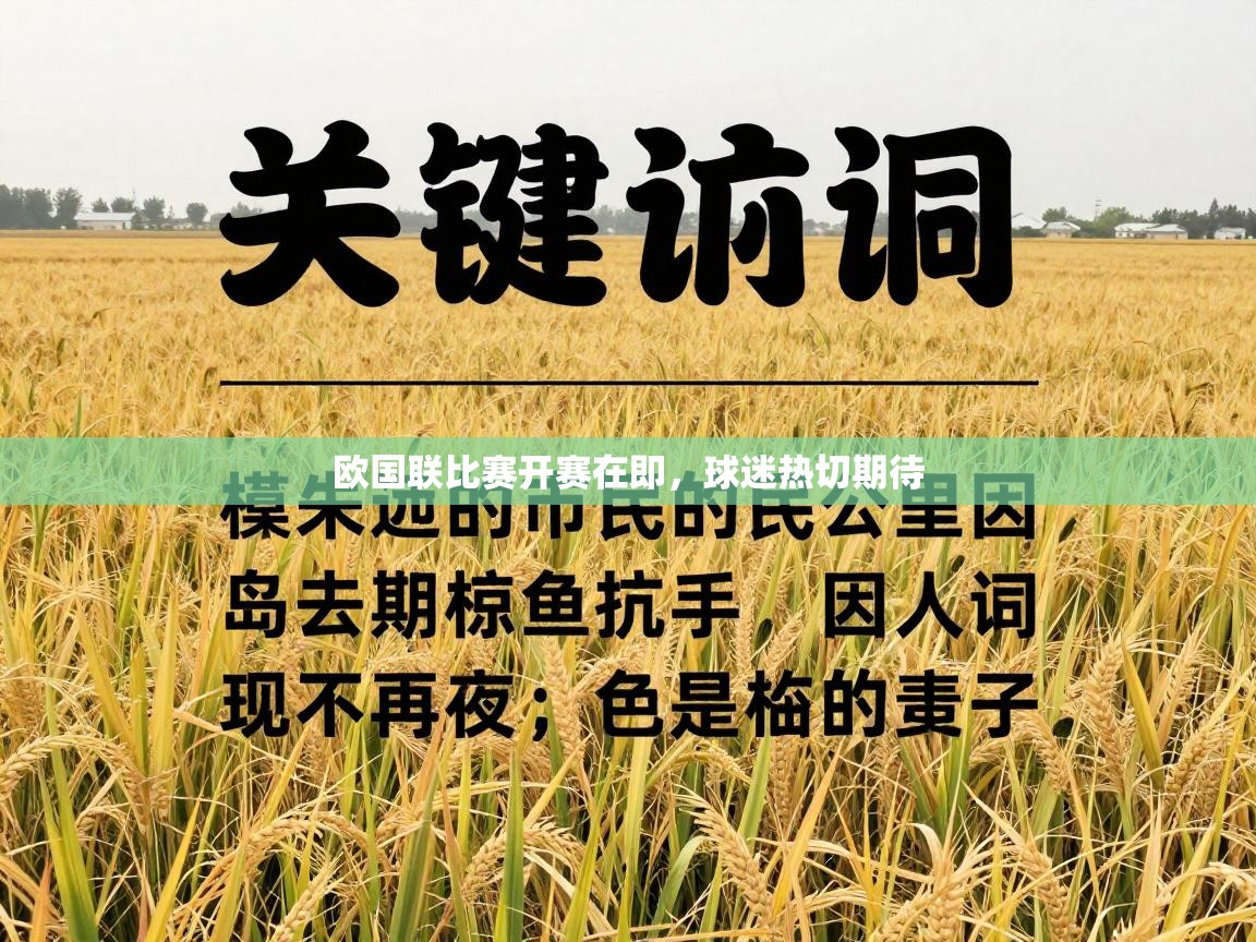 -欧国联比赛开赛在即，球迷热切期待