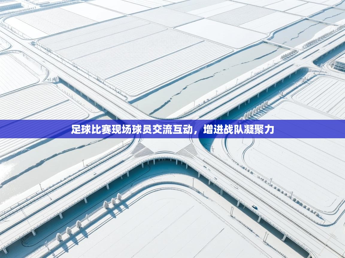 开云体育安装失败怎么办-足球比赛现场球员交流互动，增进战队凝聚力