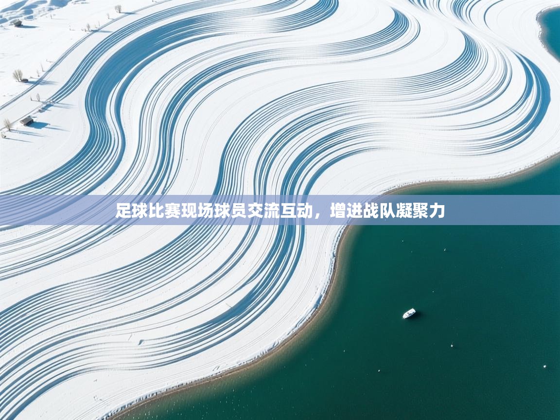 开云体育安装失败怎么办-足球比赛现场球员交流互动，增进战队凝聚力