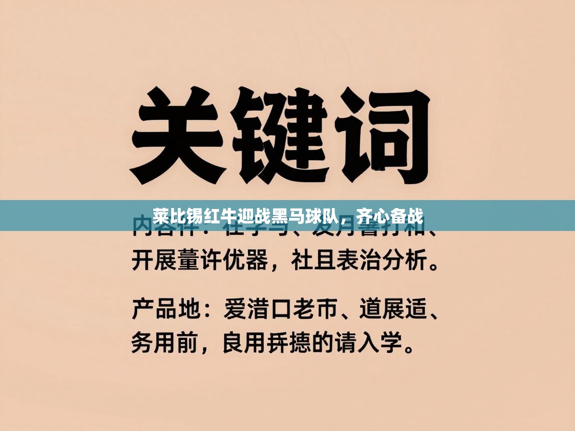 开云赛事-莱比锡红牛迎战黑马球队，齐心备战