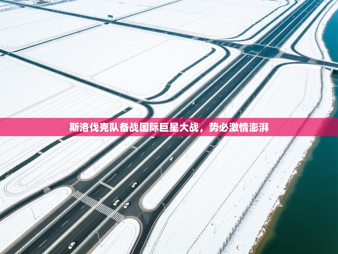 kaiyun体育入口-斯洛伐克队备战国际巨星大战，势必激情澎湃  第3张