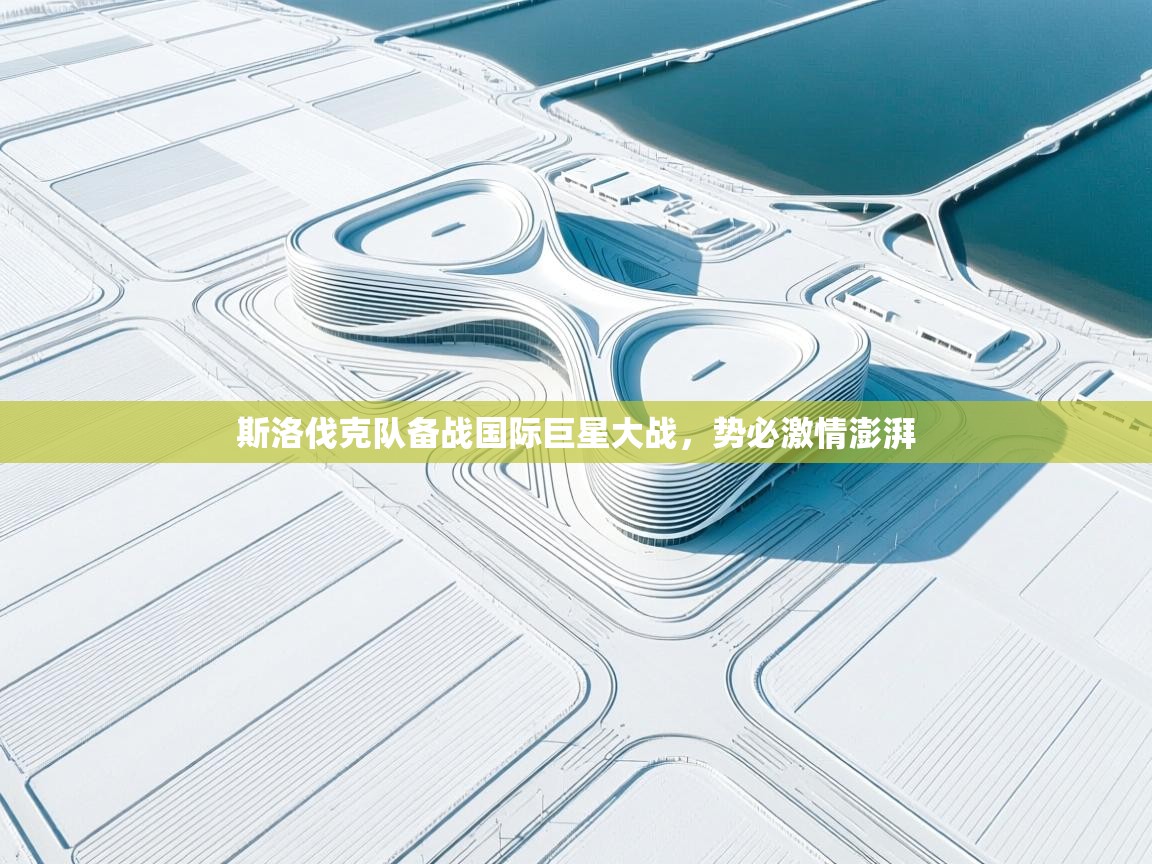 kaiyun体育入口-斯洛伐克队备战国际巨星大战，势必激情澎湃  第4张